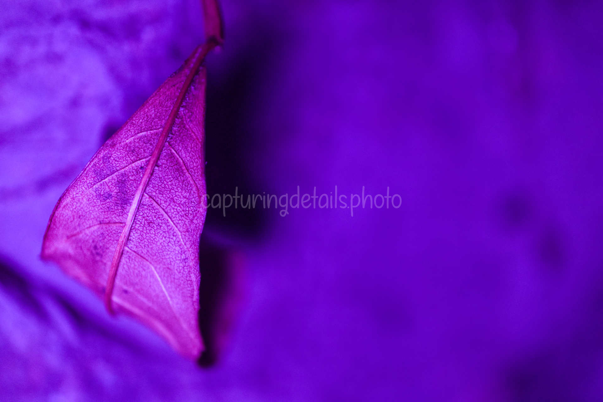 Anteprima natura_colorata